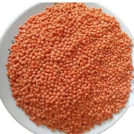 Moshur Dal Loose Standard | মসুর ডাল (1kg)