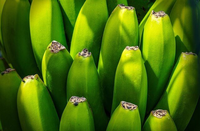 Fresh Green Banana (Kacha Kola) | কাঁচা কলা (1 Piece)