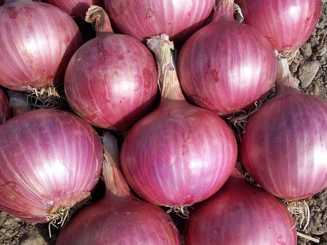 Fresh Onion (Piyaj) | দেশি পেঁয়াজ (1kg)
