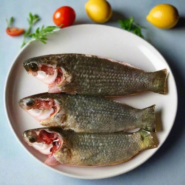 Koi Fish Process Cultured (10-12 Pcs/kg) | প্রসেসড চাষের কৈ মাছ