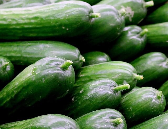 Fresh Cucumber (Shosha) | তাজা শসা (1kg)