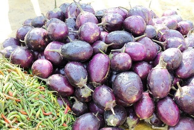 Fresh Round Brinjal (Begun Gol-Beguni) | গোল বেগুন (1kg)